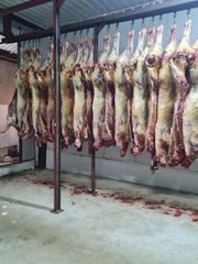 Frozen Beef - Image 1